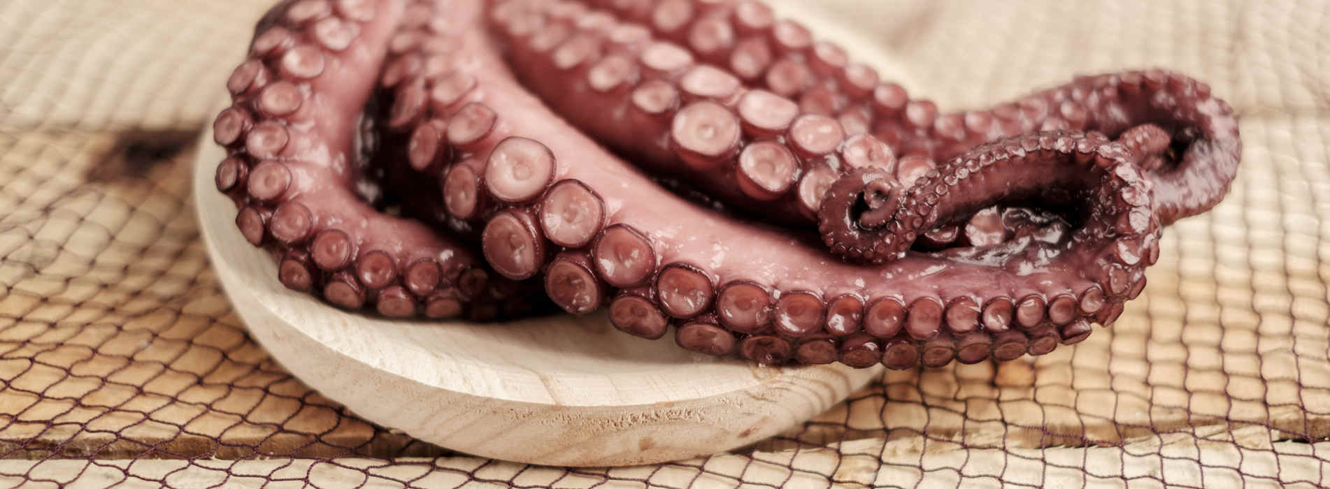 Extra quality Salanort octopus. Top quality Atlantic octopus cooked at low temperature and vacuum-packed. Ready to eat.