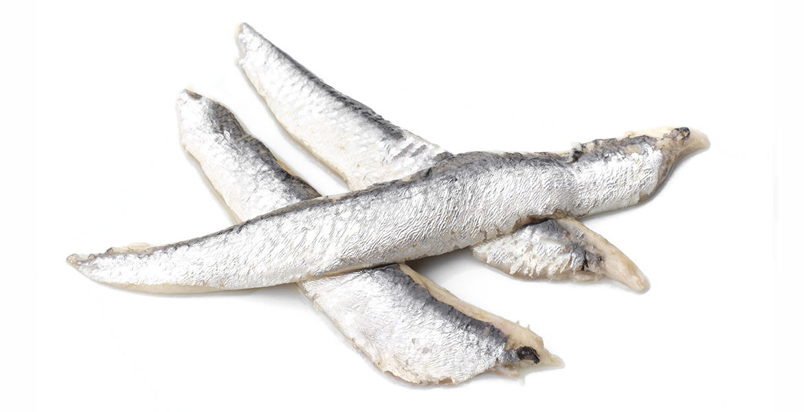 Boquerones en vinagre Salanort.